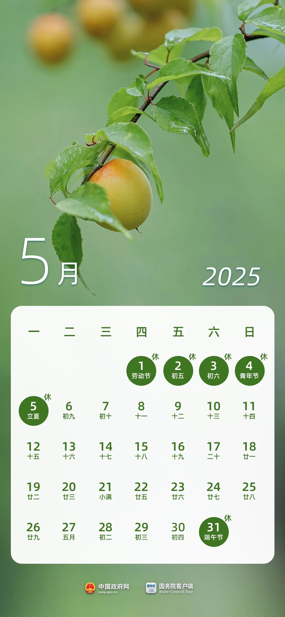 32d856a6693046dca84b13a722ed49ba.png